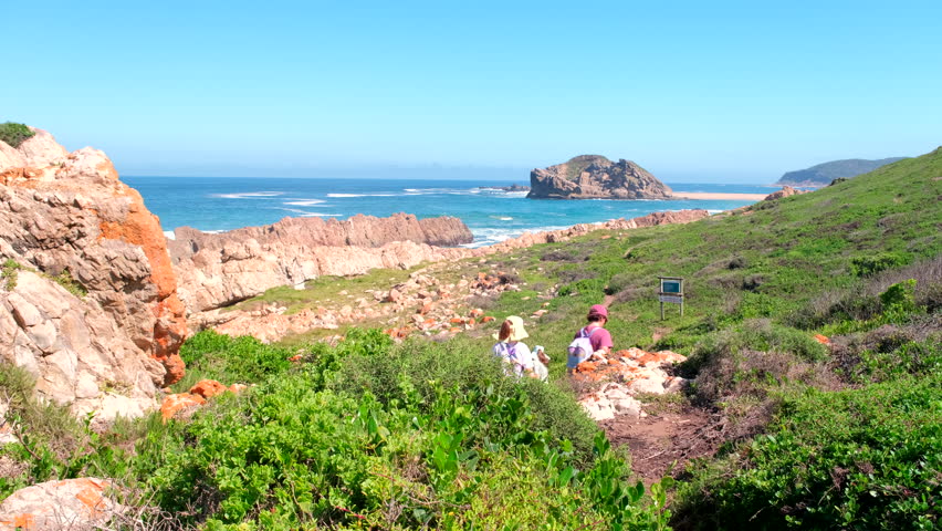 Hikers on route through dune vegetation at Robberg circular hiking trail, Plett