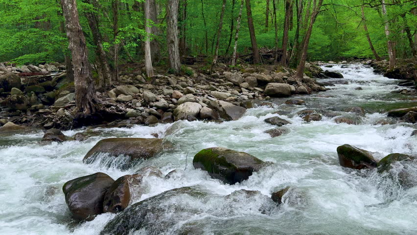 Rushing water flows down the Greenbrier river