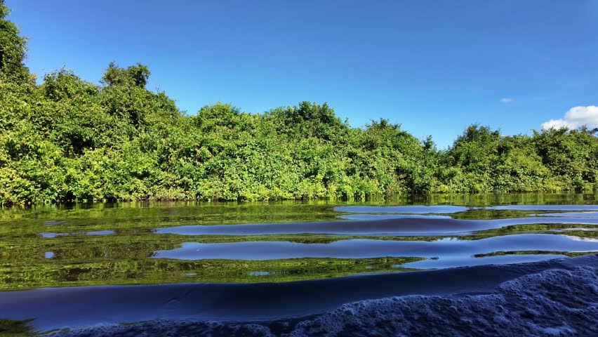 Boat Trip on Yacuma River, Pampas del Yacuma, Bolivian Amazon