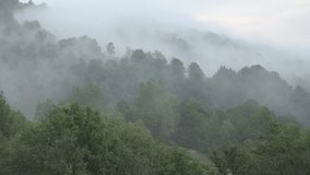 Fog in Mountains, Raining in Forest, Smoke, Mystical View, Foggy in Alpines, Mysterious Scary Scenery, Clouds in Wood, Timelapse - Powered by Shutterstock - Get 15% off with code: PIKWIZARD15