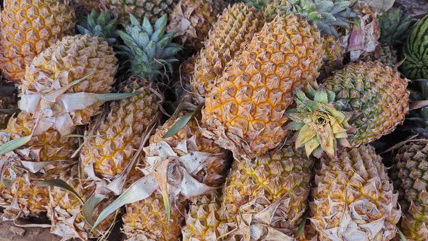 A pile of fresh pineapples is shown in closeup highlighting rough texture spiky crowns and vibrant natural appearance in a market or outdoor setting