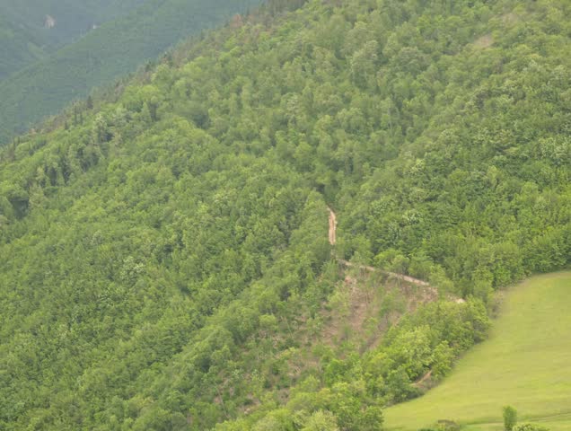 A trail immersed in a dense green forest, shot from above as it crosses a wooded slope. A natural, tranquil, and spring-like atmosphere