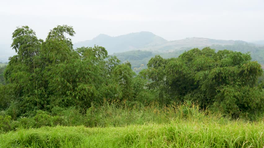 Beautiful landscape of green hills and misty mountains under a cloudy sky.