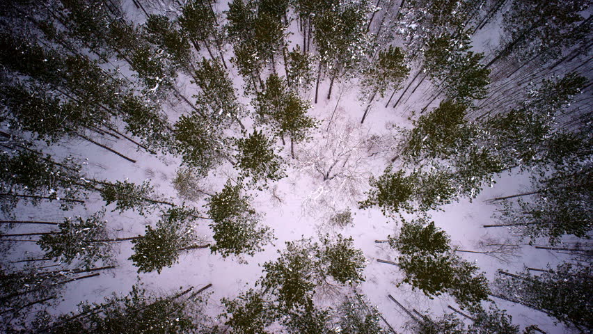 Overhead drone view of a wintry landscape in Michigan’s Upper Peninsula after snowfall