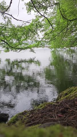 Rain drops falling into a lake in the Pacific Northwest