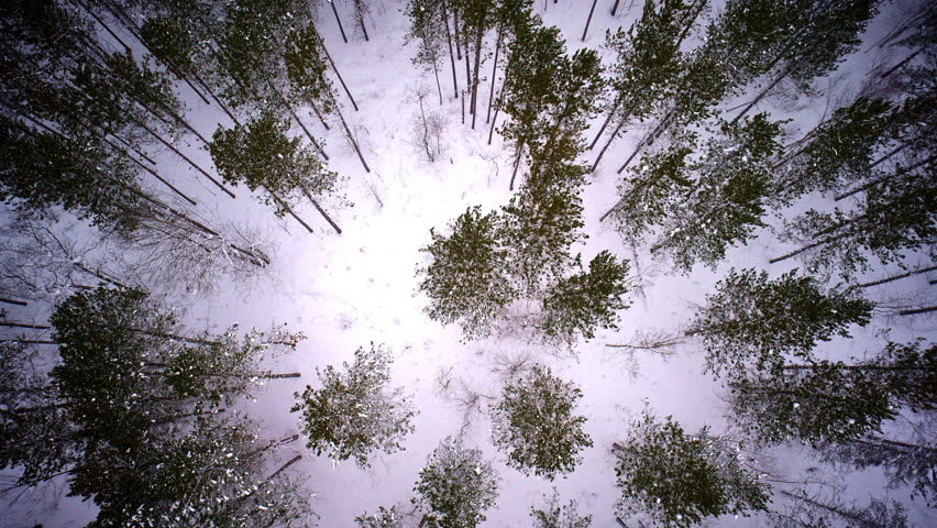 Aerial perspective of Michigan’s Upper Peninsula coated in snow after a recent storm