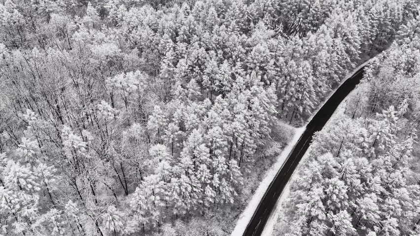 Aerial View of Winding Road Through Snow Covered Forest