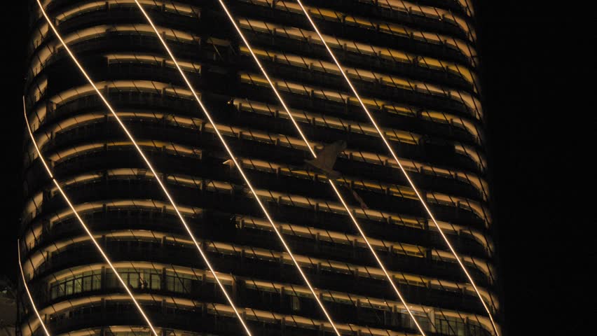 Night view of a kite bird silhouette gliding across the illuminated curved facade of ITC Ratnadipa Twin Towers in Colombo, Sri Lanka, with golden architectural lines.