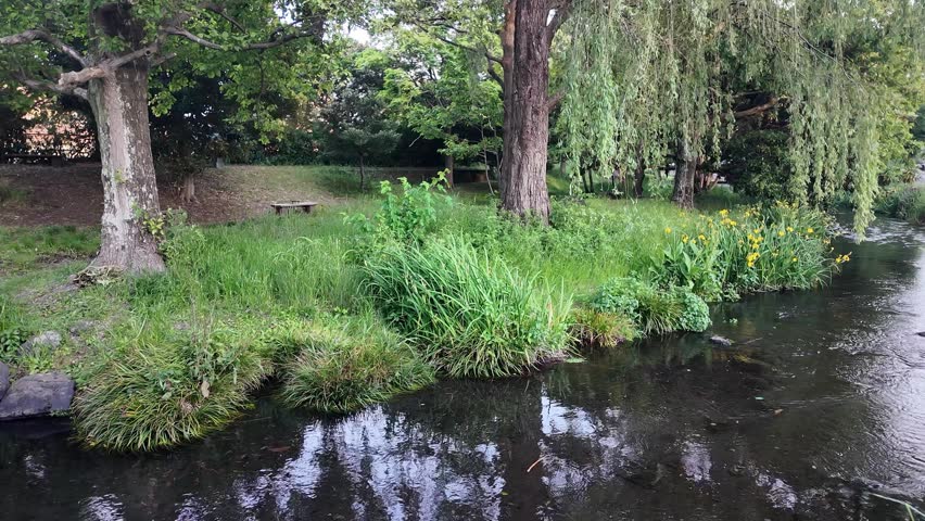 Calm riverside landscape featuring flowing water surrounded by lush green trees, tall grass, and natural vegetation. Gentle movement of the river creates a relaxing and cinematic nature atmosphere.