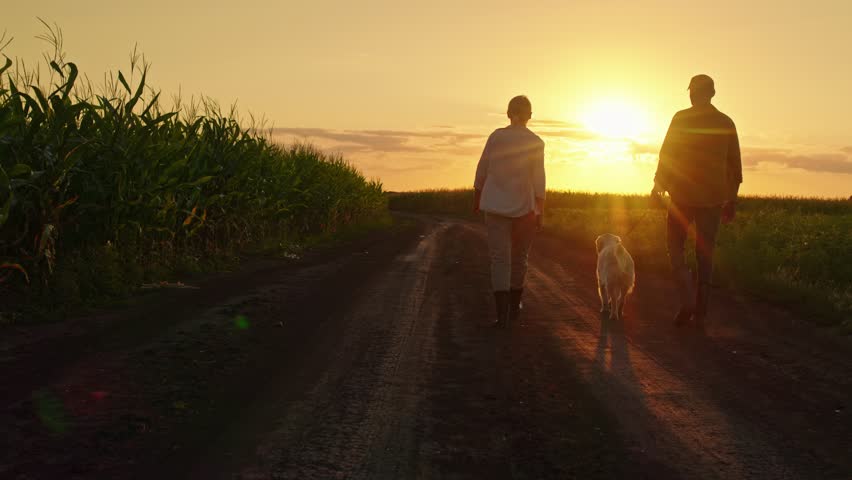 Mature couple and golden retriever walking on country road at sunset.
