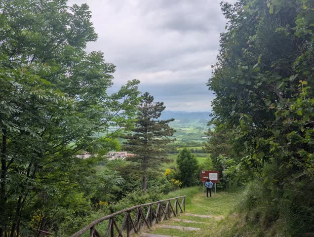A grassy path through the woods leads down to a scenic valley, overlooking fields and hills under a cloudy sky