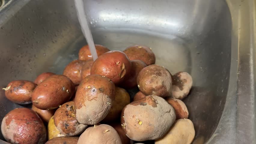 Washing dirty red potatoes in a metal sink; hands are rinsed under running water along with the fresh raw vegetables