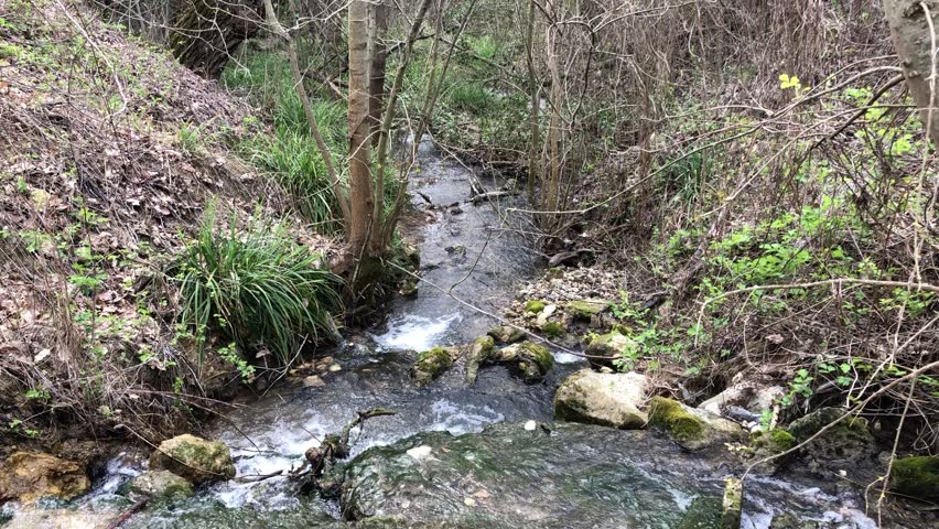 A serene stream flows through a forested area, surrounded by lush greenery and rocks. The water gently cascades over stones, creating a peaceful natural scene in the springtime