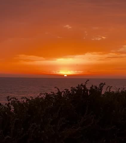 Stunning HDR sunset over calm ocean horizon with silhouetted trees in foreground. Vibrant orange sky with high dynamic range preserves details in bright and dark areas. Ideal for backgrounds, cinematic, meditation, and commercial video projects.