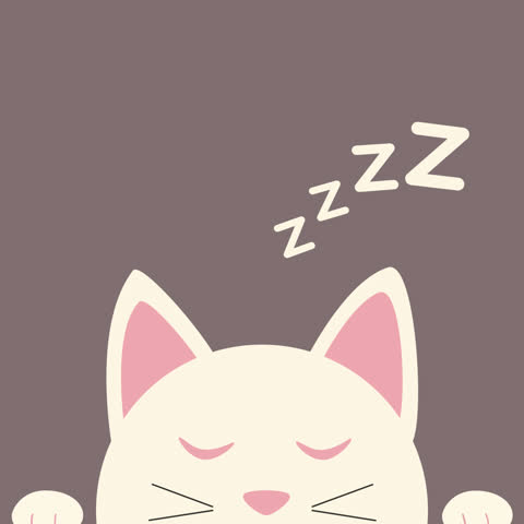 Cute cartoon cat resting and slowly breathing in a seamless loop animation. Square 1:1 format with transparent background and alpha channel for animated stickers, streaming overlays and social media content.