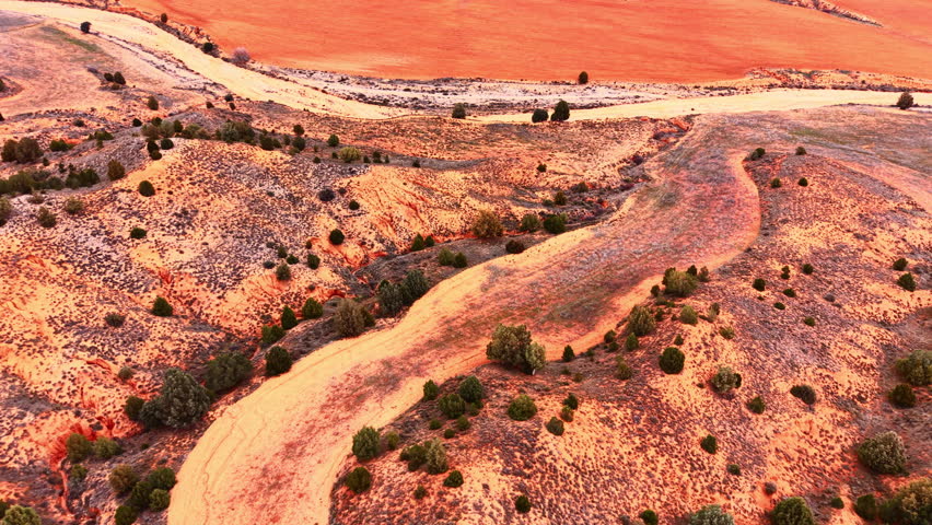 Winding dirt track and dry riverbed through red soil landscape with sparse green bushes. Aerial view of dry riverbed and red earth fields.