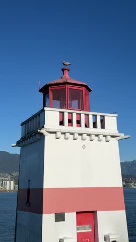 Seagull perched atop Prospect Point Lighthouse lantern room, Stanley Park