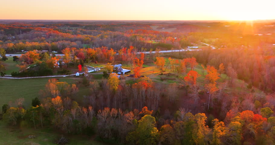 Spacious rural houses among yellow fall foliage in South Carolina suburbs. Beauty of seasonal colors in quiet countryside aria.