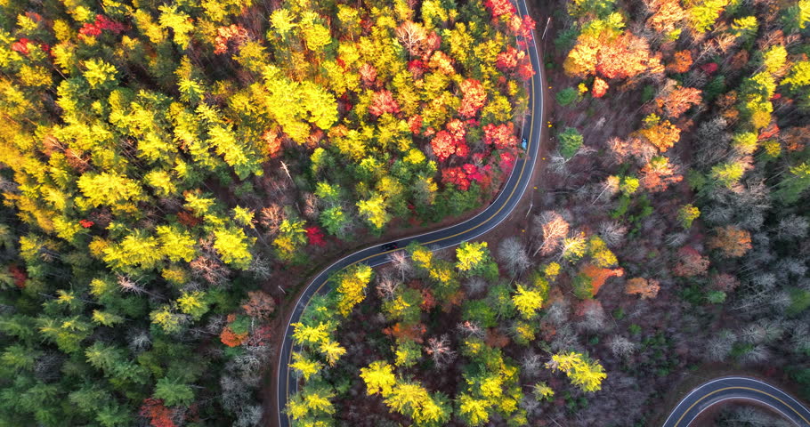 Vibrant autumn landscape in North Carolina mountains. Fall colors stretch across hillsides along quiet mountain road