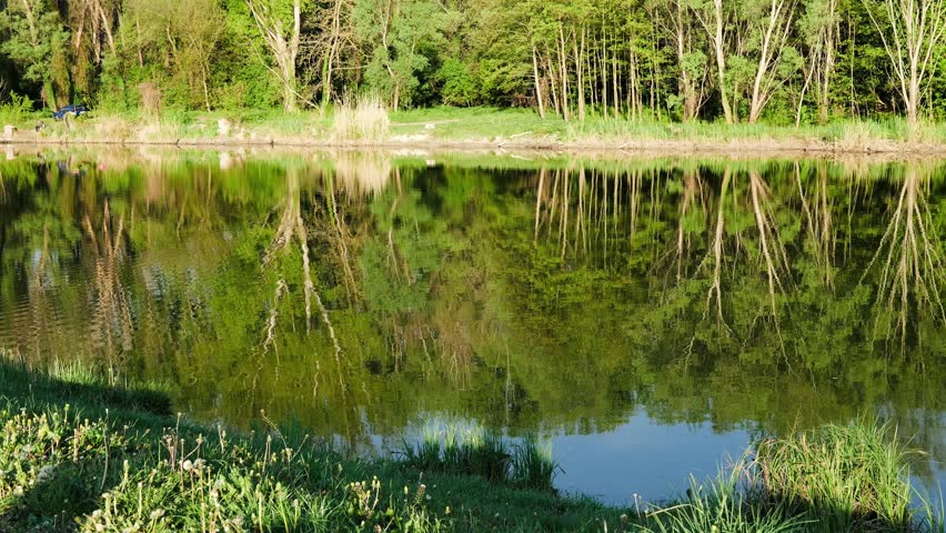 early‑morning river surface reflecting trees in soft golden light with perfectly still water creating a calm mirrored landscape