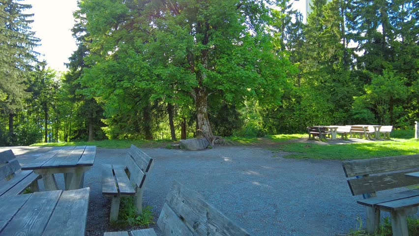 Wooden picnic tables and benches in a gravel park area surrounded by green trees