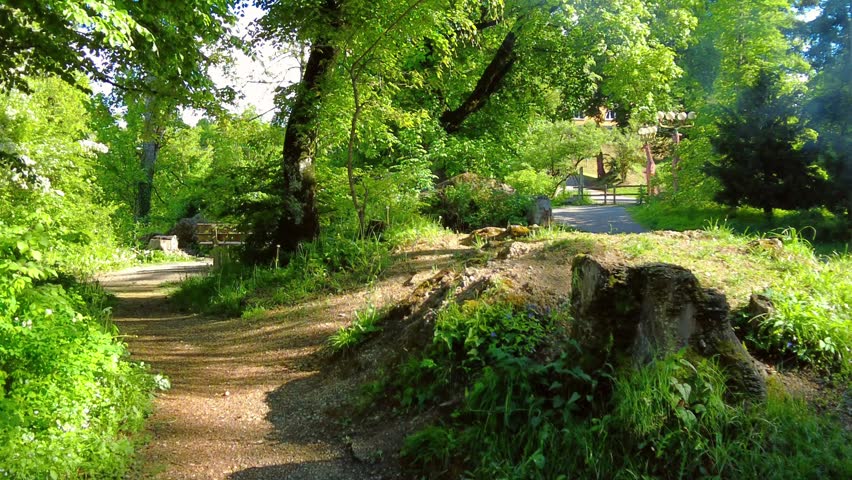 Dirt path winding through a green park with old mossy tree stumps