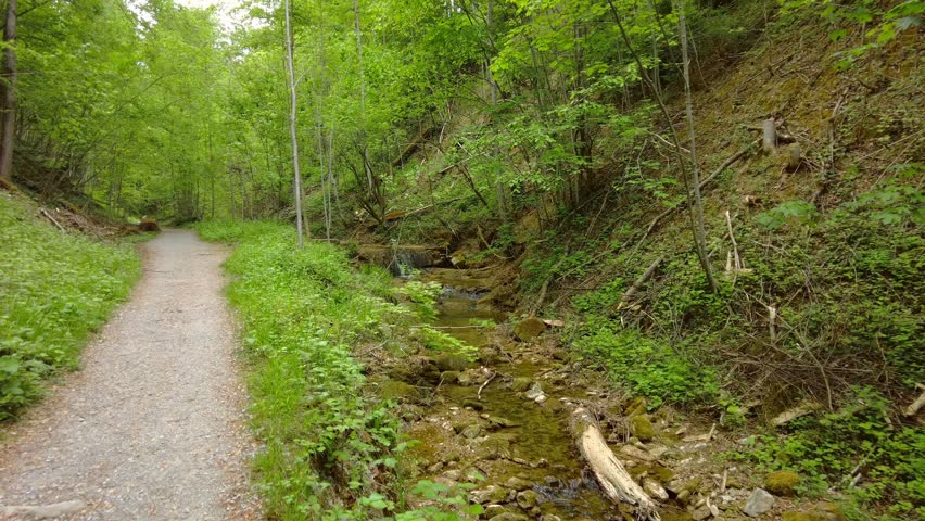 Dirt hiking trail running along a shallow rocky forest stream