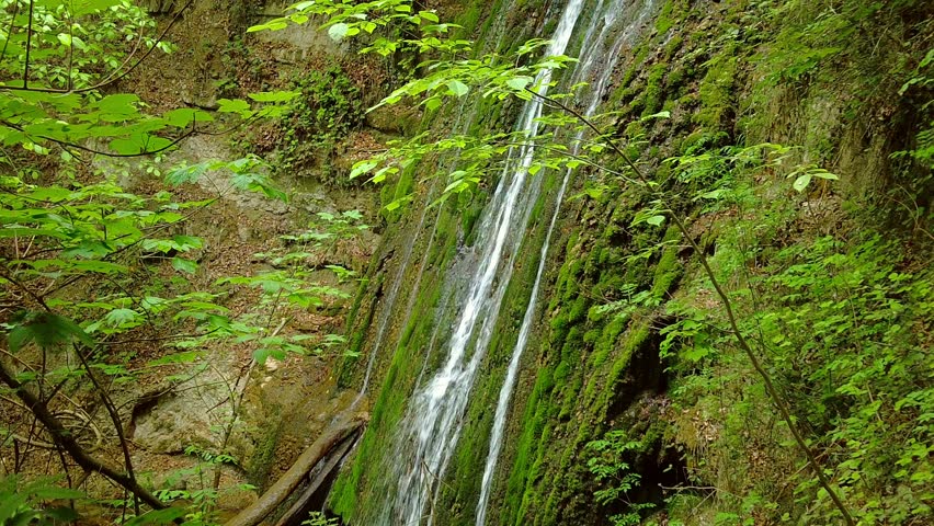 Thin waterfall streams flowing down a steep mossy rock wall in the forest