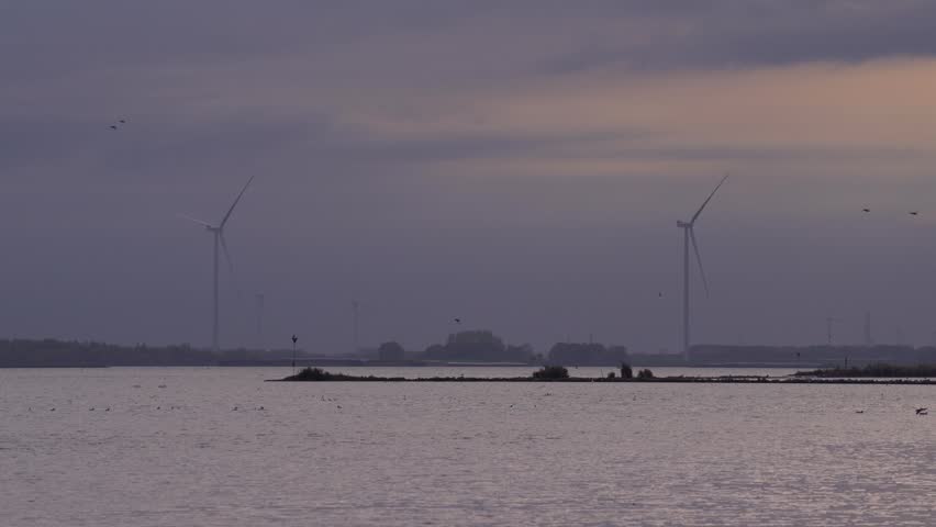 Wind Turbines and Birds Over a Dutch River at Dusk Under Cloudy Skies

A serene static shot of a river in the Netherlands featuring wind turbines on the horizon and birds flying across a moody, overcast twilight sky.
