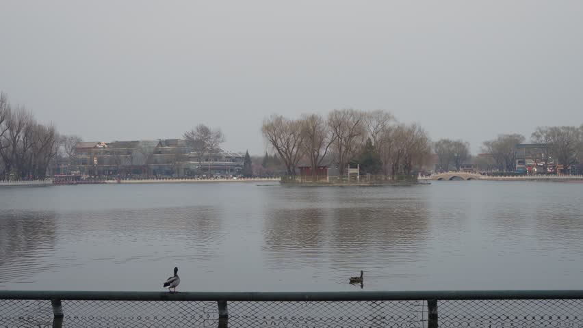 Wild ducks resting on a metal railing take flight over Houhai Lake in the Shichahai area of Beijing. Static wide shot captures the moment of takeoff with the lake and traditional buildings visible.