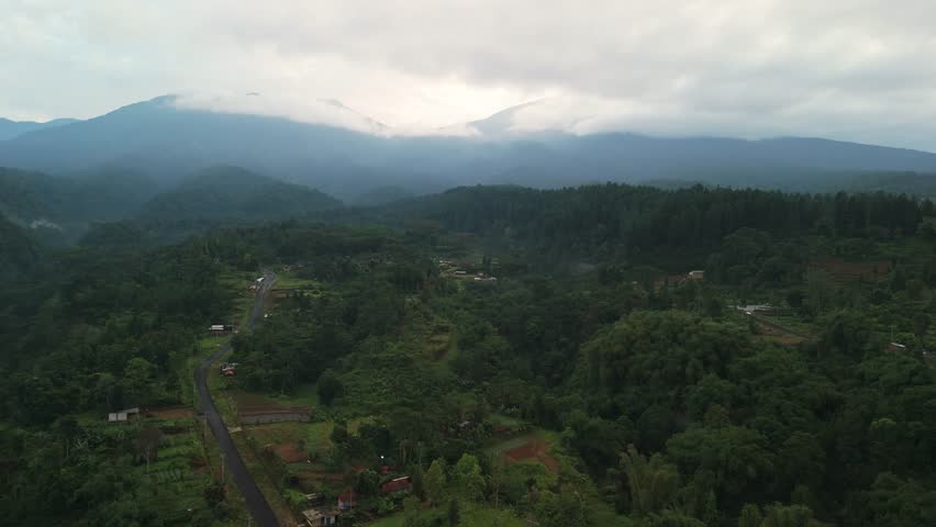 Beautiful forest landscape with distant cloudy mountains for travel and nature
