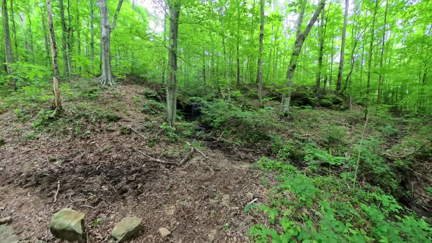 Uphill and the Prettiest Waterfall on Trail in Mammoth Cave National Park