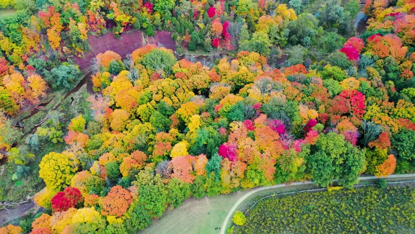 Aerial view of Bronte Creek Provincial Park in autumn, colorful fall foliage, winding creek and forest landscape, cinematic drone nature footage, peaceful Canadian scenery, high resolution 4K video.