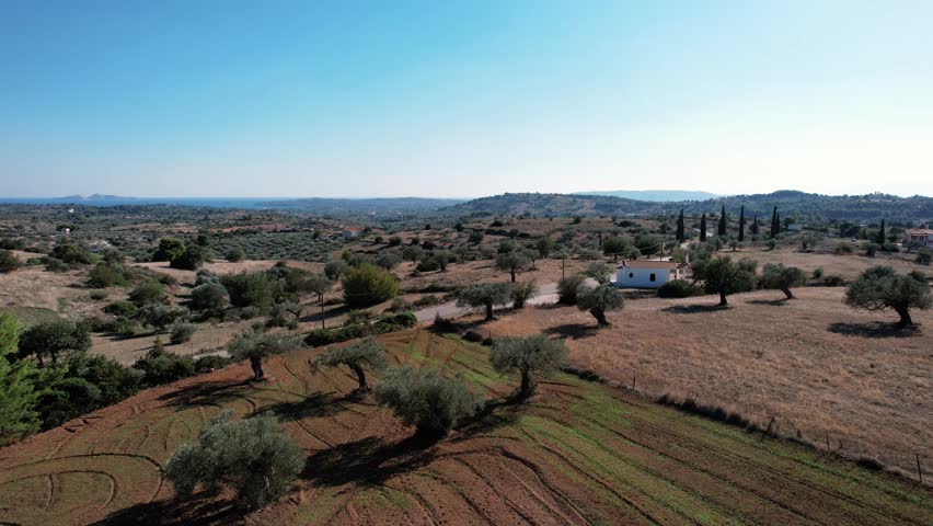 Peaceful countryside scene. Serene rural landscape with farmstead. Idyllic farm and hills under sunny sky