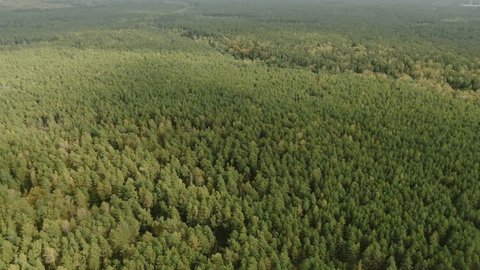 Drone Flying Backward Over Dense Green Forest Canopy