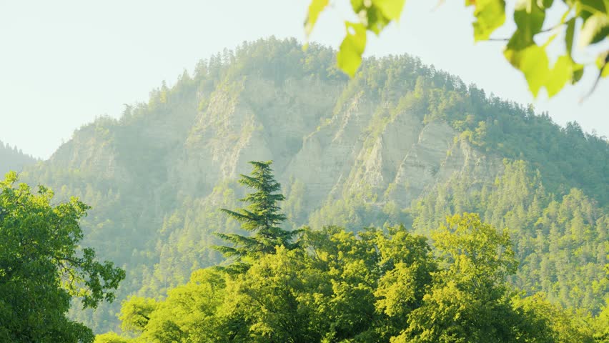 Lush Green Mountain Landscape With Forest And Clear Sky, Nature Conservation And Environmental Protection, Dense Forests Under A Clear Sky, A Sense Of Natural Beauty