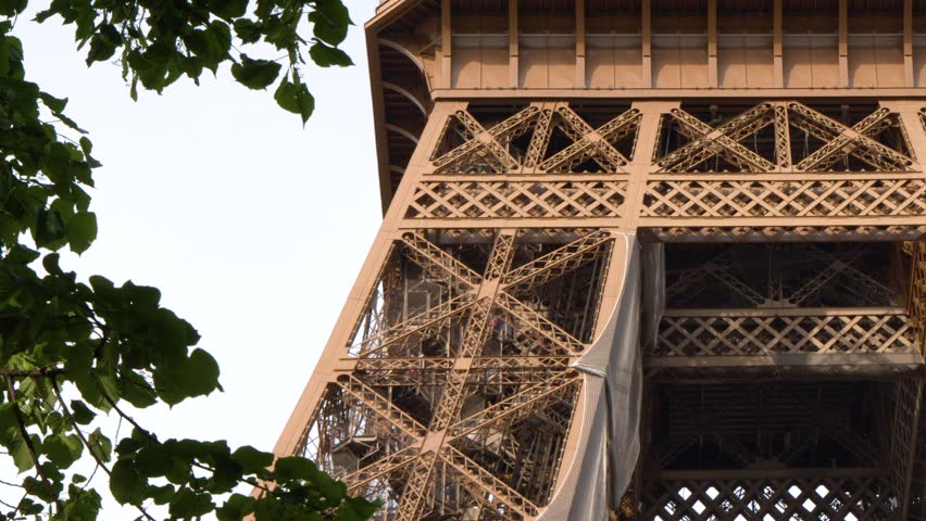 Low angle view of the Eiffel Tower iron lattice framed by green tree leaves