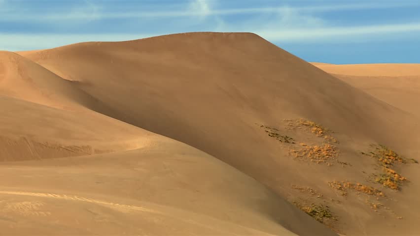 Large golden sand dune with soft ridges and sparse vegetation under blue sky in Great Sand Dunes National Park, USA