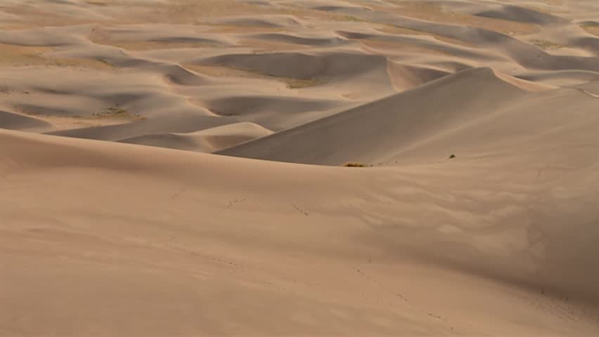 Giant Sand Dunes On The Northland Peninsula of New Zealand. Close-up Shot