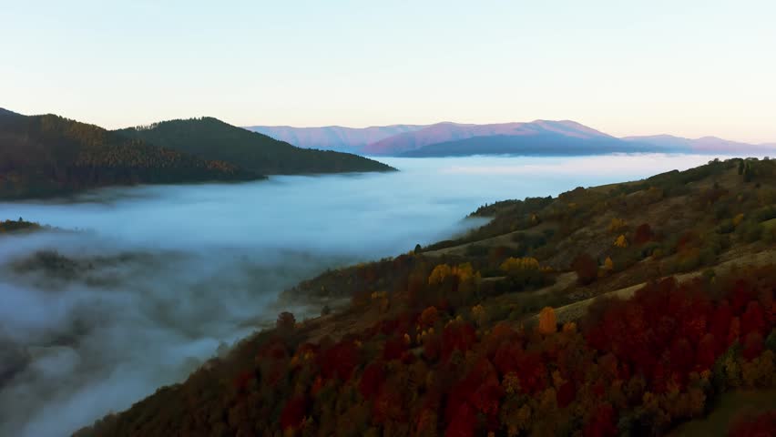 Mountain hills covered with colorful forests and thick fog