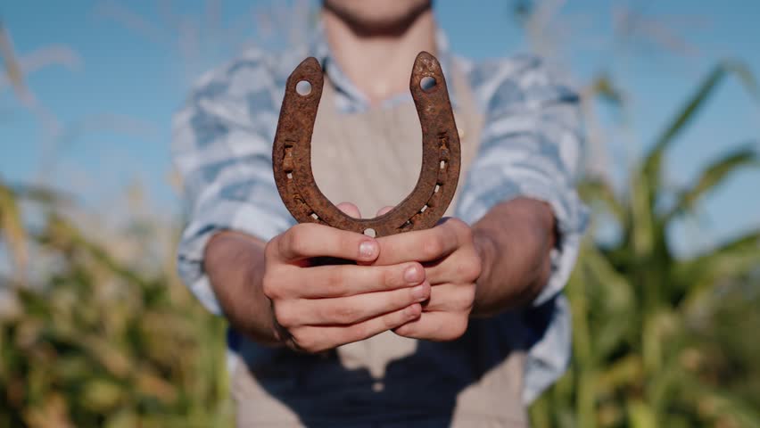 Farm life, agricultural background, old metal object, sunset.