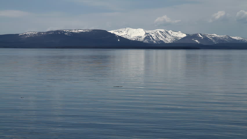 A snowy mountain range across Yellowstone Lake. The still water creates subtle reflections while distant peaks and cloud formations shape a majestic summer landscape. This scenic composition emphasizes the grandeur and serenity of Yellowstone’s protected wilderness.