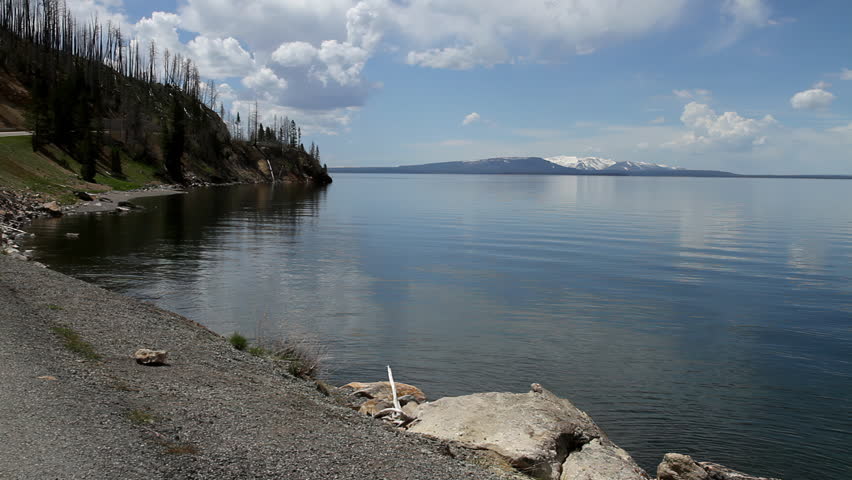 Rocky lakeshore and burned forest landscape in Yellowstone National Park. Dead tree trunks stand against a dramatic sky while calm water reflects the surrounding wilderness. This wide scenic shot captures the raw beauty and ecological history of Yellowstone National Park in summer.