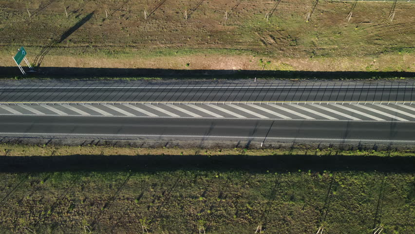 Aerial View of Elevated Road Bridge Through Forest and Green Landscape