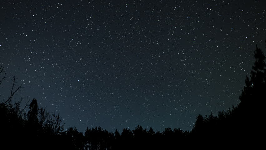 Time lapse of the starry night sky above a forest landscape: a clear night sky, studded with stars, above the dark forest horizon a peaceful and serene scene.