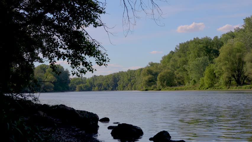 Peaceful river landscape with lush green forest and blue sky at sunset