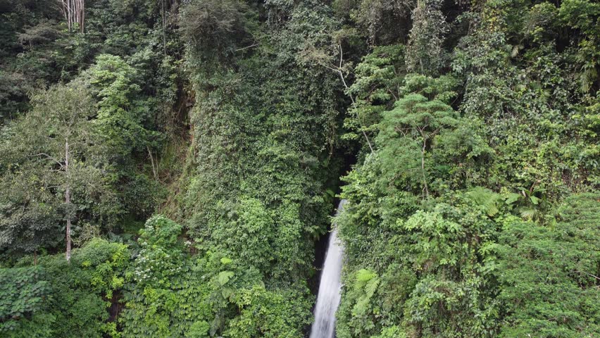 Aerial drone descending from the top crest down to the base of Munduk Waterfall, Bali, Indonesia.