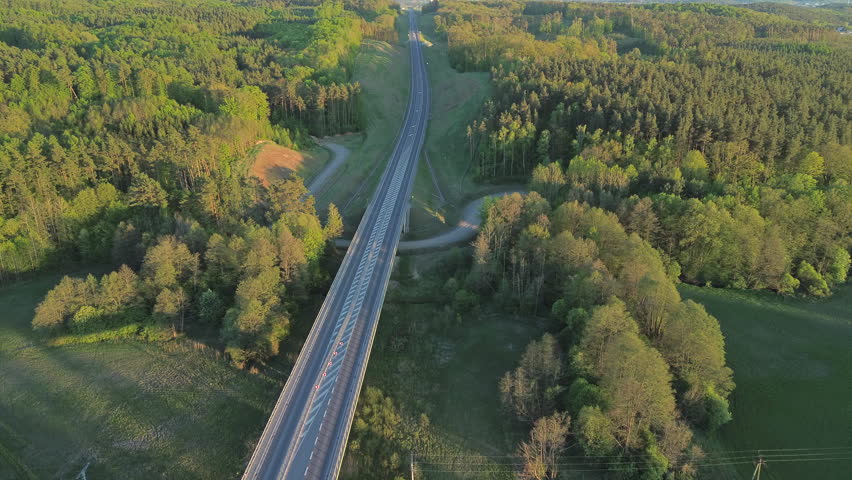 Aerial View of Elevated Road Bridge Through Forest and Green Landscape