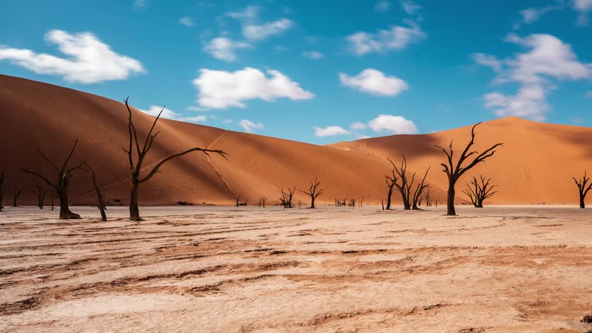 Wide low angle timelapse of Deadvlei in Sossusvlei, Namibia. Cracked white pan, dead camelthorn trees, warm dunes, shifting clouds, moving shadows, faint visitors.