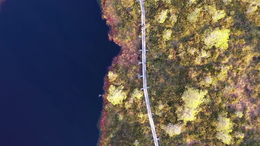 Aerial view of a man running on a wooden path through a vast swampy bog in Estonia. The scene features golden autumn colors, stunted pine trees, and reflecting peat pools under a cloudy sunset sky.